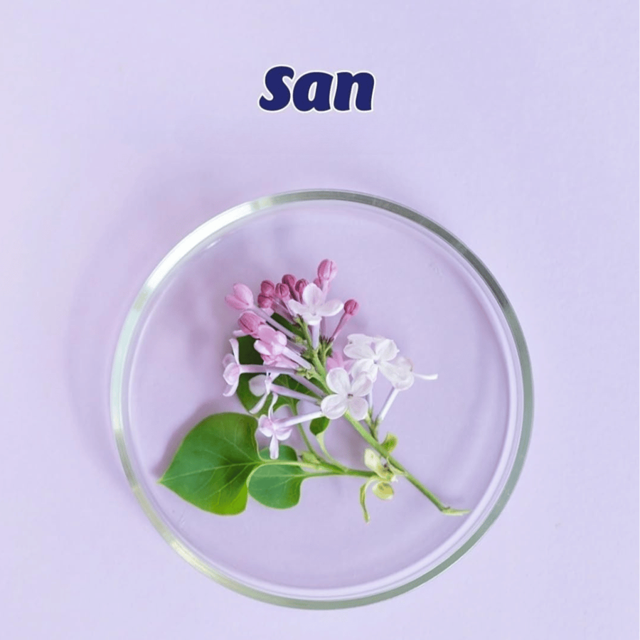 SAN PERFUMADOR CAMPO FLORES 40D