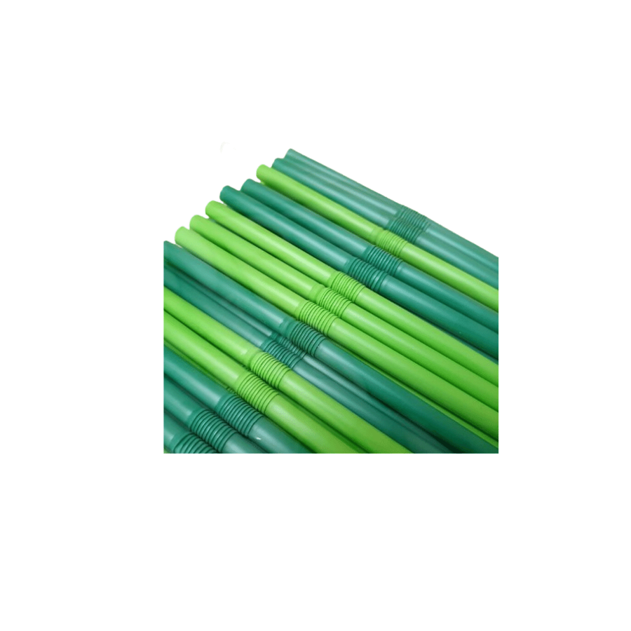 PALHINHAS FLEX. BIO C/25